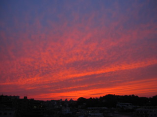 f:id:darumammz:20100621190746j:image