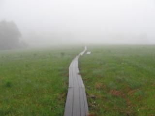 f:id:darumammz:20100627071210j:image