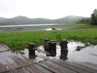 f:id:darumammz:20100627085545j:image