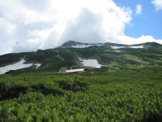 f:id:darumammz:20100805144915j:image