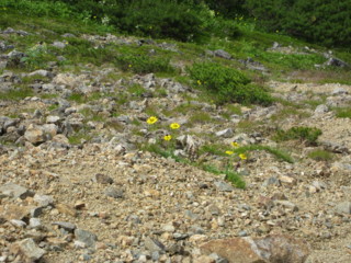 f:id:darumammz:20100806095614j:image