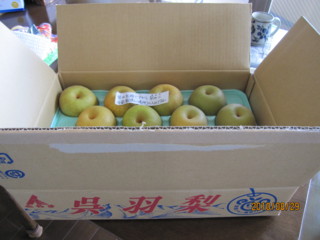 f:id:darumammz:20100829120125j:image
