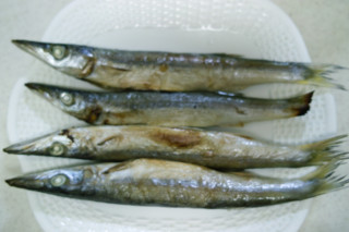 f:id:darumammz:20101103172746j:image
