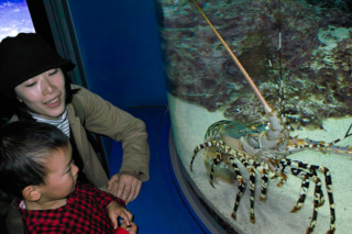 f:id:darumammz:20101230120025j:image
