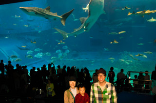 f:id:darumammz:20101230121824j:image