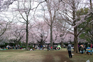 f:id:darumammz:20110410123900j:image