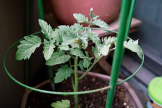 f:id:darumammz:20110504111838j:image