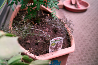 f:id:darumammz:20110504124850j:image