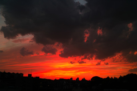 f:id:darumammz:20110514184200j:image