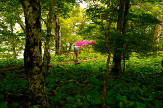 f:id:darumammz:20110612122937j:image