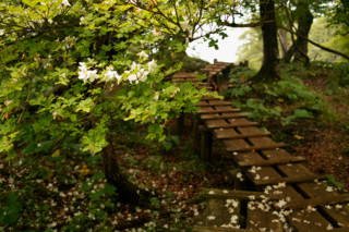 f:id:darumammz:20110612123017j:image