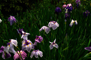 f:id:darumammz:20110619081724j:image:w360