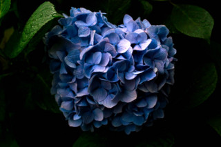 f:id:darumammz:20110619083146j:image:w360