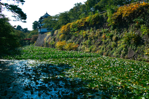 f:id:darumammz:20111009105410j:image:w360