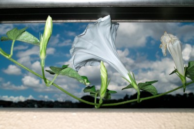 f:id:darumammz:20120805110033j:image