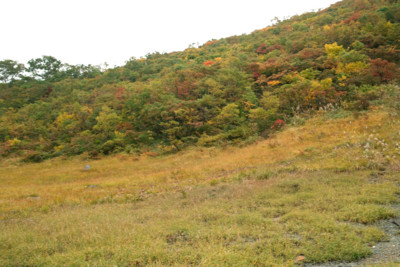 f:id:darumammz:20121007091243j:image