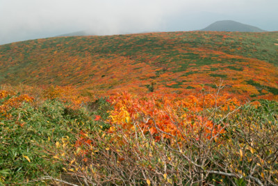 f:id:darumammz:20121007104355j:image