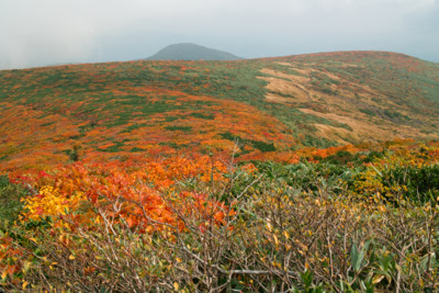 f:id:darumammz:20121007104401j:image