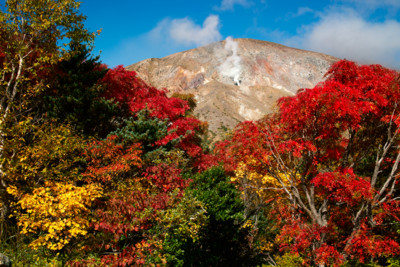 f:id:darumammz:20121008101821j:image