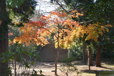 f:id:darumammz:20121125102651j:image