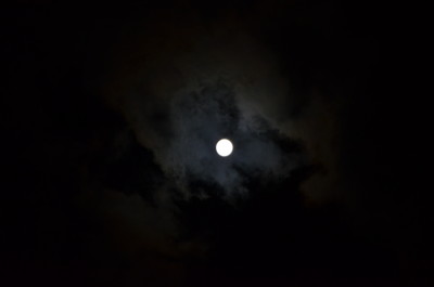 f:id:darumammz:20121127212514j:image