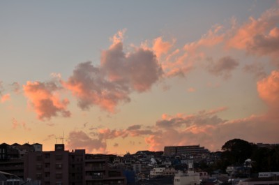 f:id:darumammz:20121231163507j:image