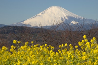 f:id:darumammz:20130119094202j:image f:id:darumammz:20130119094202j:image