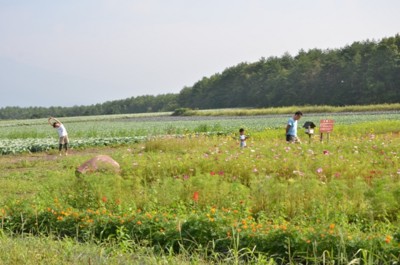 f:id:darumammz:20130817082856j:image