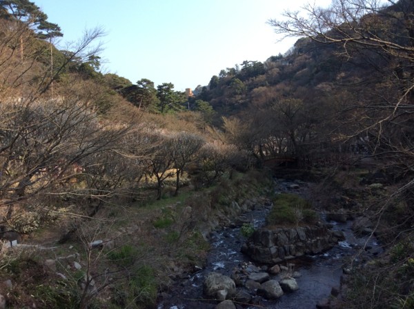f:id:darumammz:20160227145148j:image f:id:darumammz:20160227145148j:image