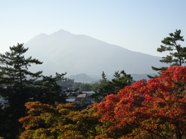 f:id:darumammz:20161015152247j:image