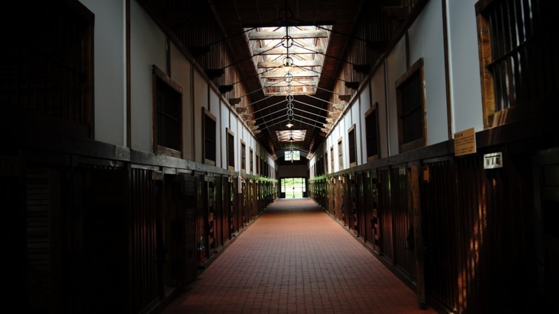 f:id:darumammz:20180722142732j:image f:id:darumammz:20180722142732j:image