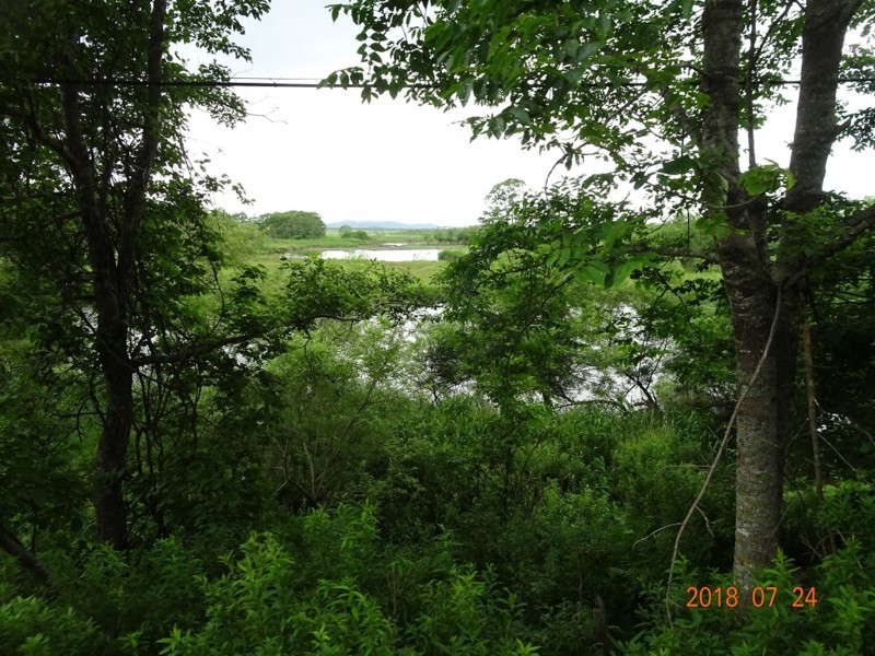 f:id:darumammz:20180724063045j:image f:id:darumammz:20180724063045j:image