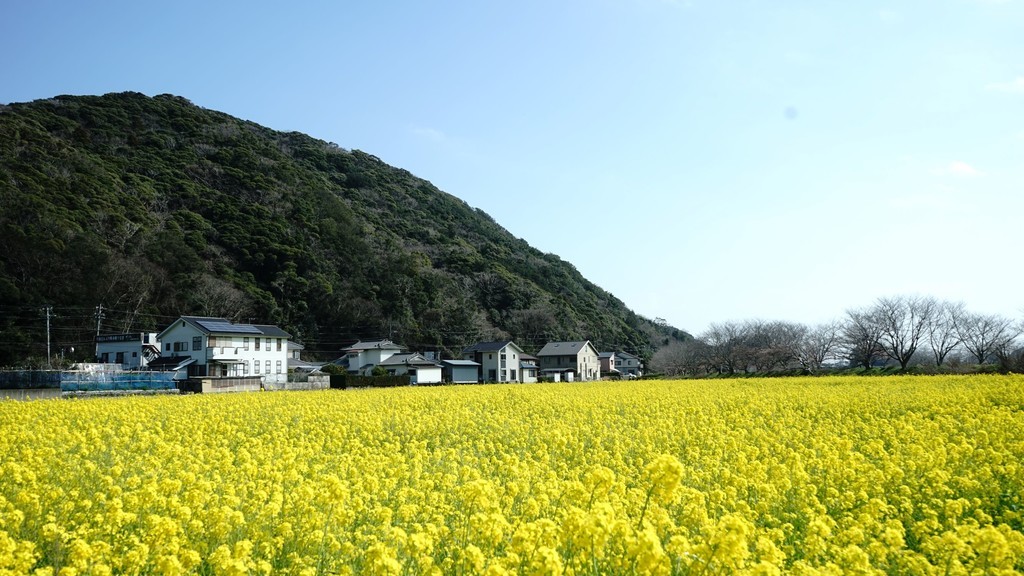 f:id:darumammz:20190302133906j:plain