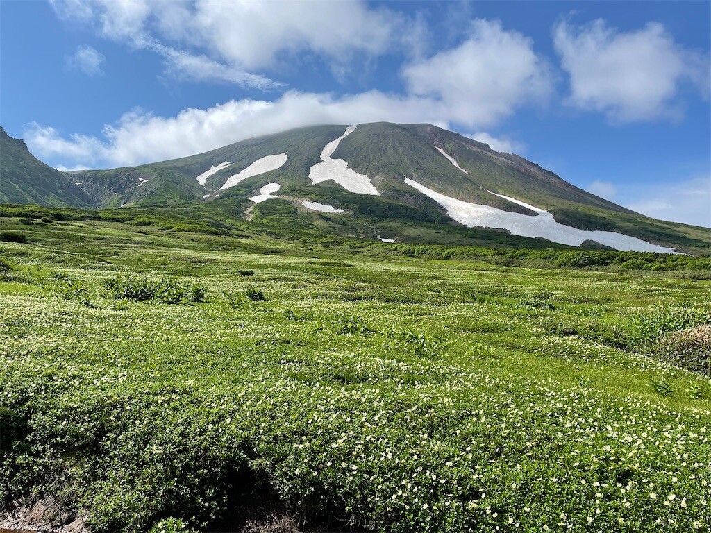 f:id:darumammz:20240713065658j:image