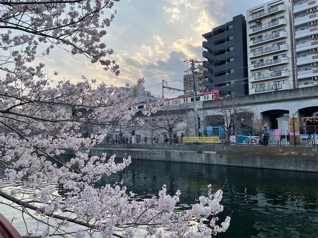 f:id:darumammz:20250401092442j:image