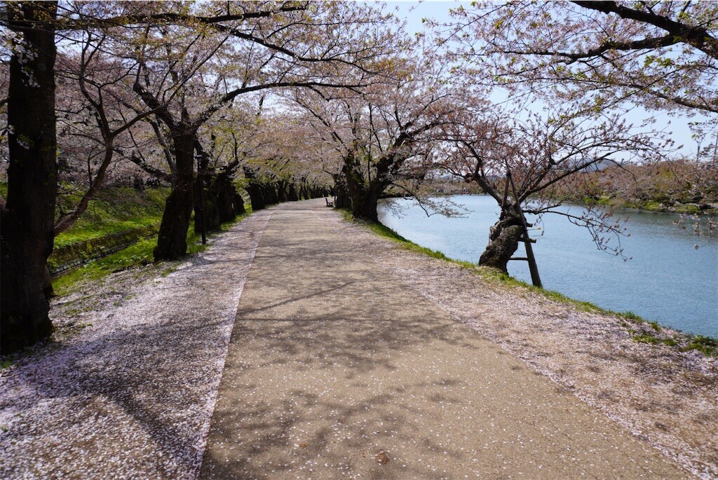 f:id:darumammz:20250506075021j:image