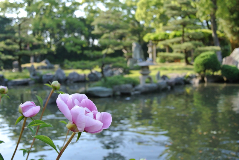 f:id:daruyanagi:20140503162230j:plain