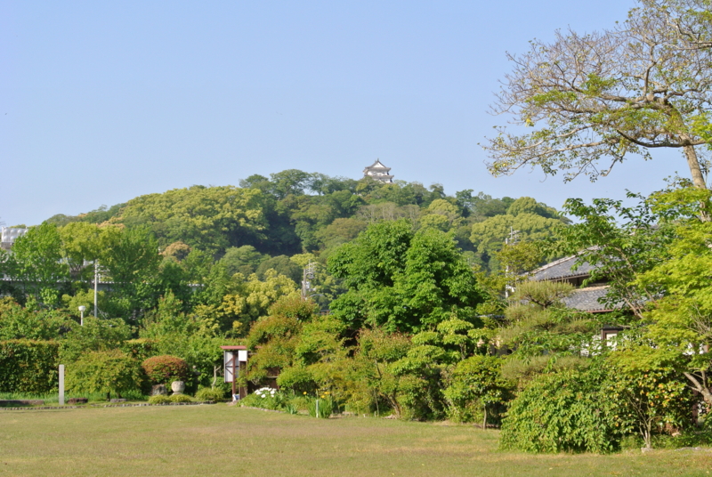 f:id:daruyanagi:20140503162356j:plain