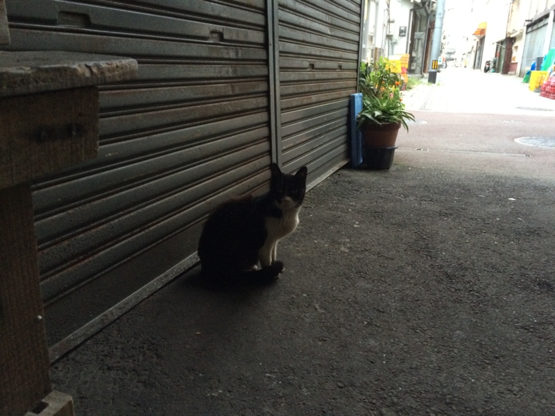 f:id:daruyanagi:20150412182821j:plain