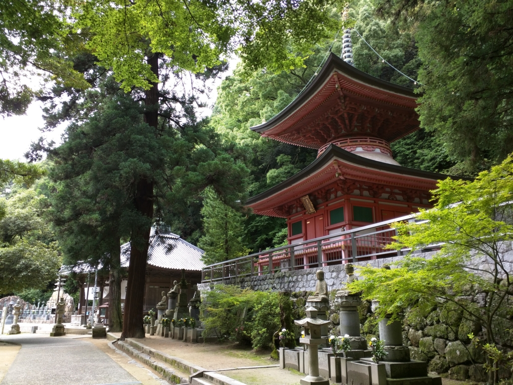 f:id:daruyanagi:20150620142650j:plain f:id:daruyanagi:20150620142650j:plain
