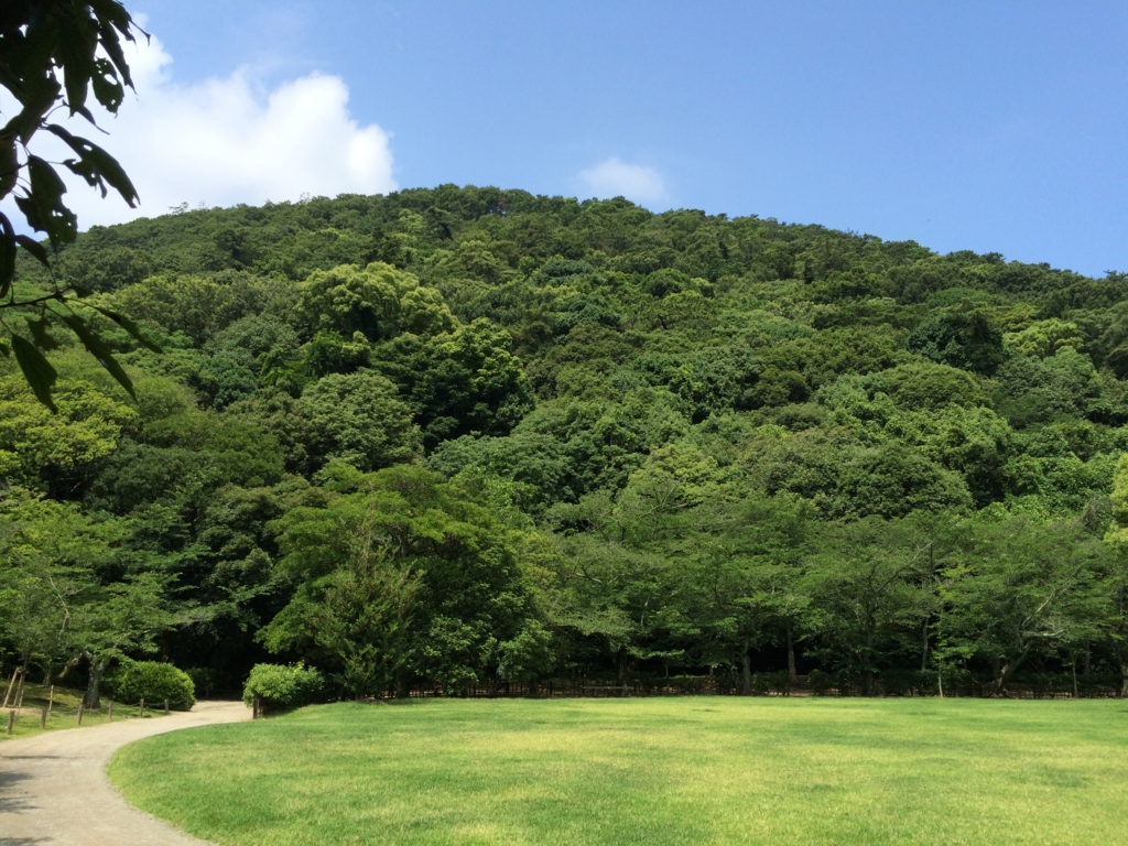 f:id:daruyanagi:20150621102137j:plain