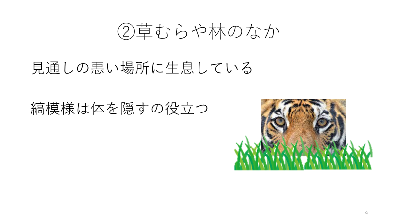 f:id:darwinism0616:20220117000007p:plain