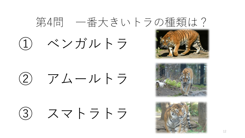 f:id:darwinism0616:20220117001052p:plain