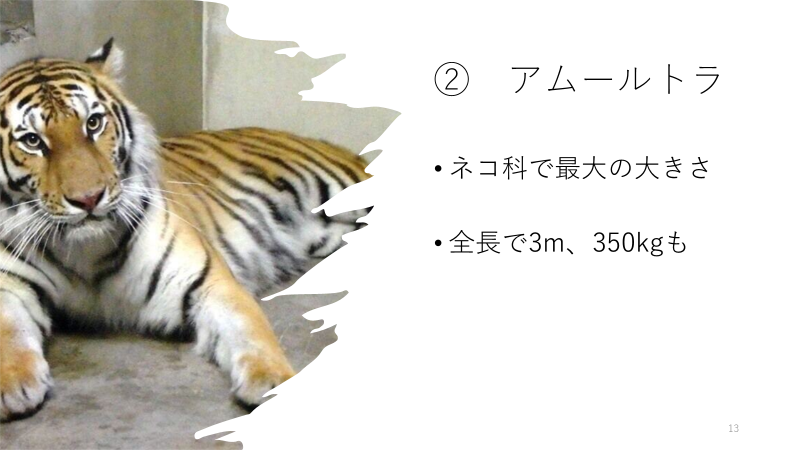 f:id:darwinism0616:20220117003259p:plain