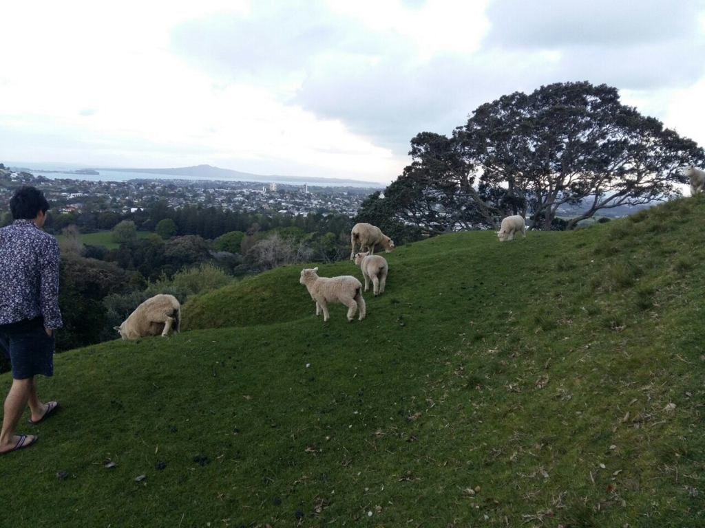 f:id:dasht441:20161027105746j:plain