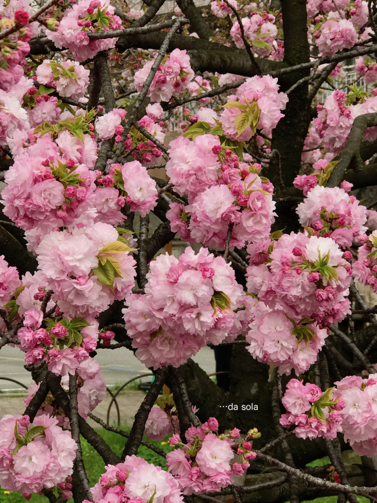 f:id:dasola:20170417000012p:plain