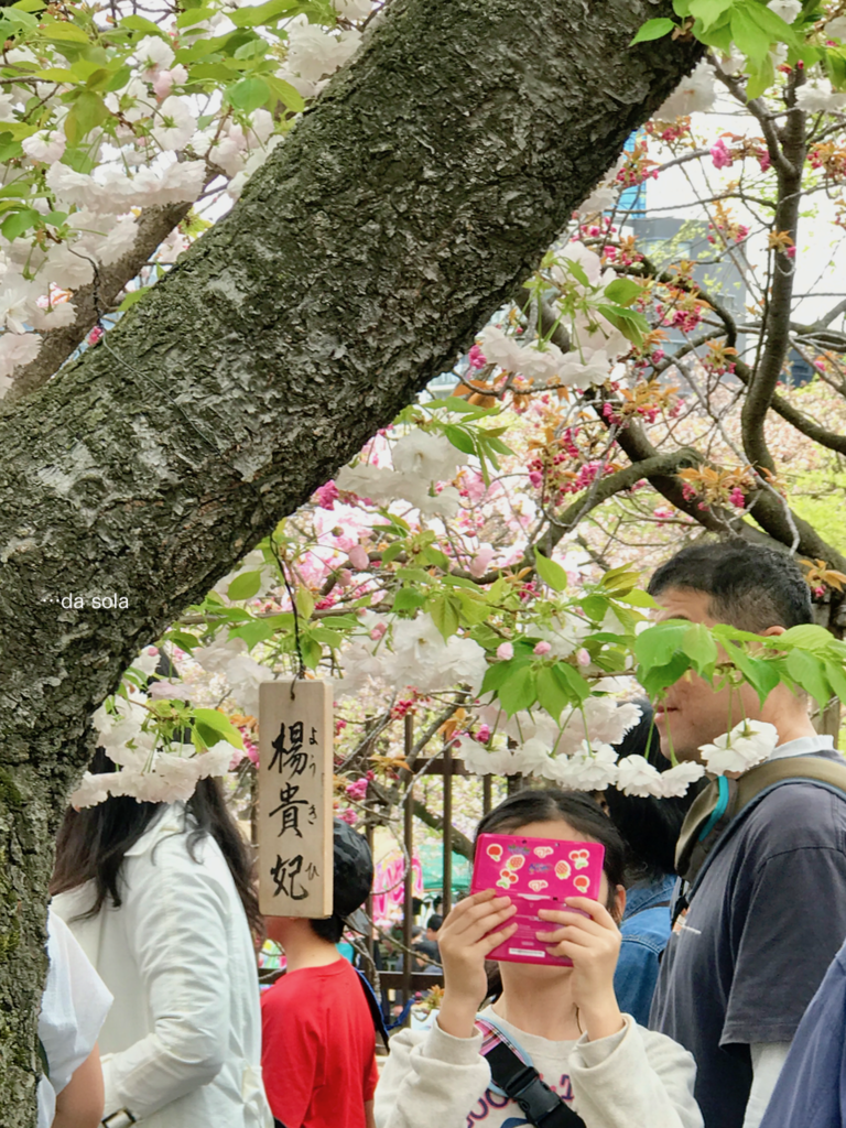 f:id:dasola:20170417001744p:plain