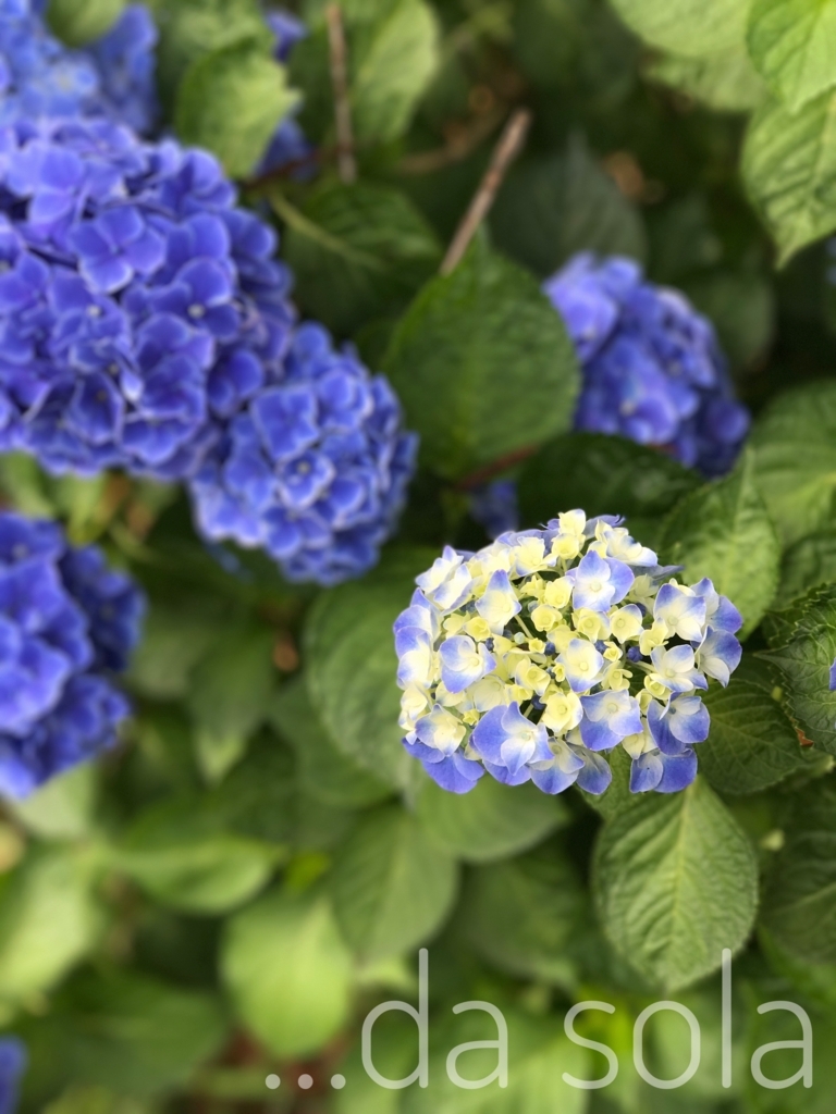 f:id:dasola:20170714133027j:plain f:id:dasola:20170714133027j:plain