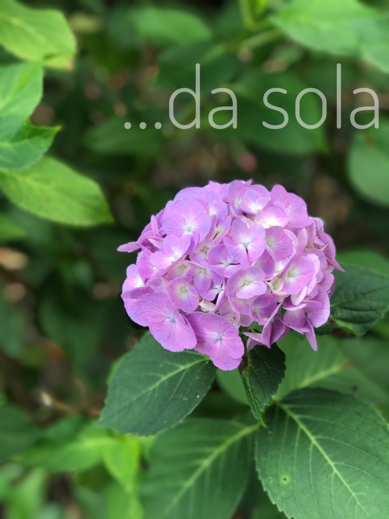 f:id:dasola:20170714133129j:plain f:id:dasola:20170714133129j:plain