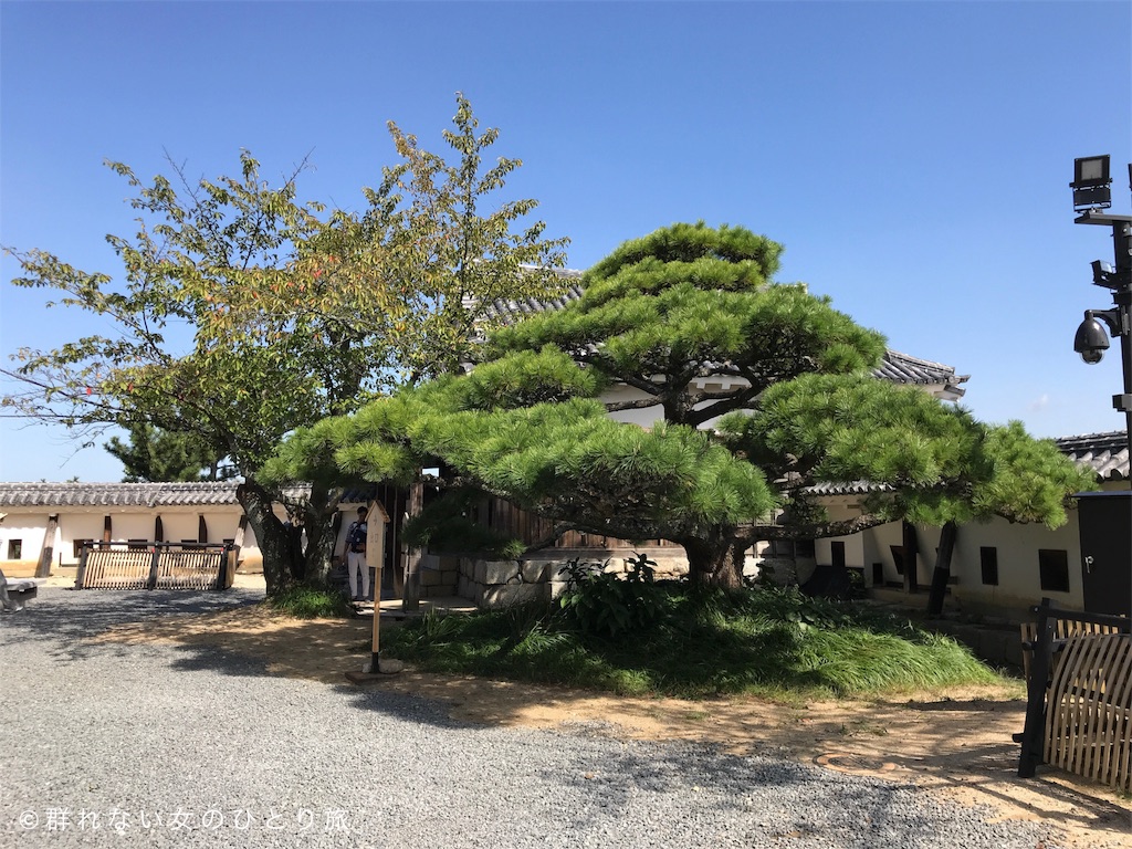 f:id:dasola:20171004073729j:plain f:id:dasola:20171004073729j:plain